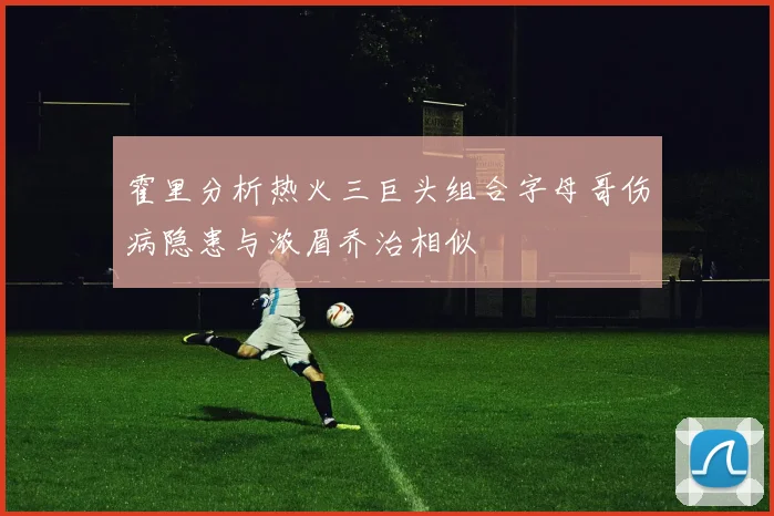 霍里分析热火三巨头组合字母哥伤病隐患与浓眉乔治相似