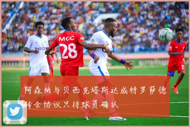 阿森纳与贝西克塔斯达成特罗萨德转会协议只待球员确认